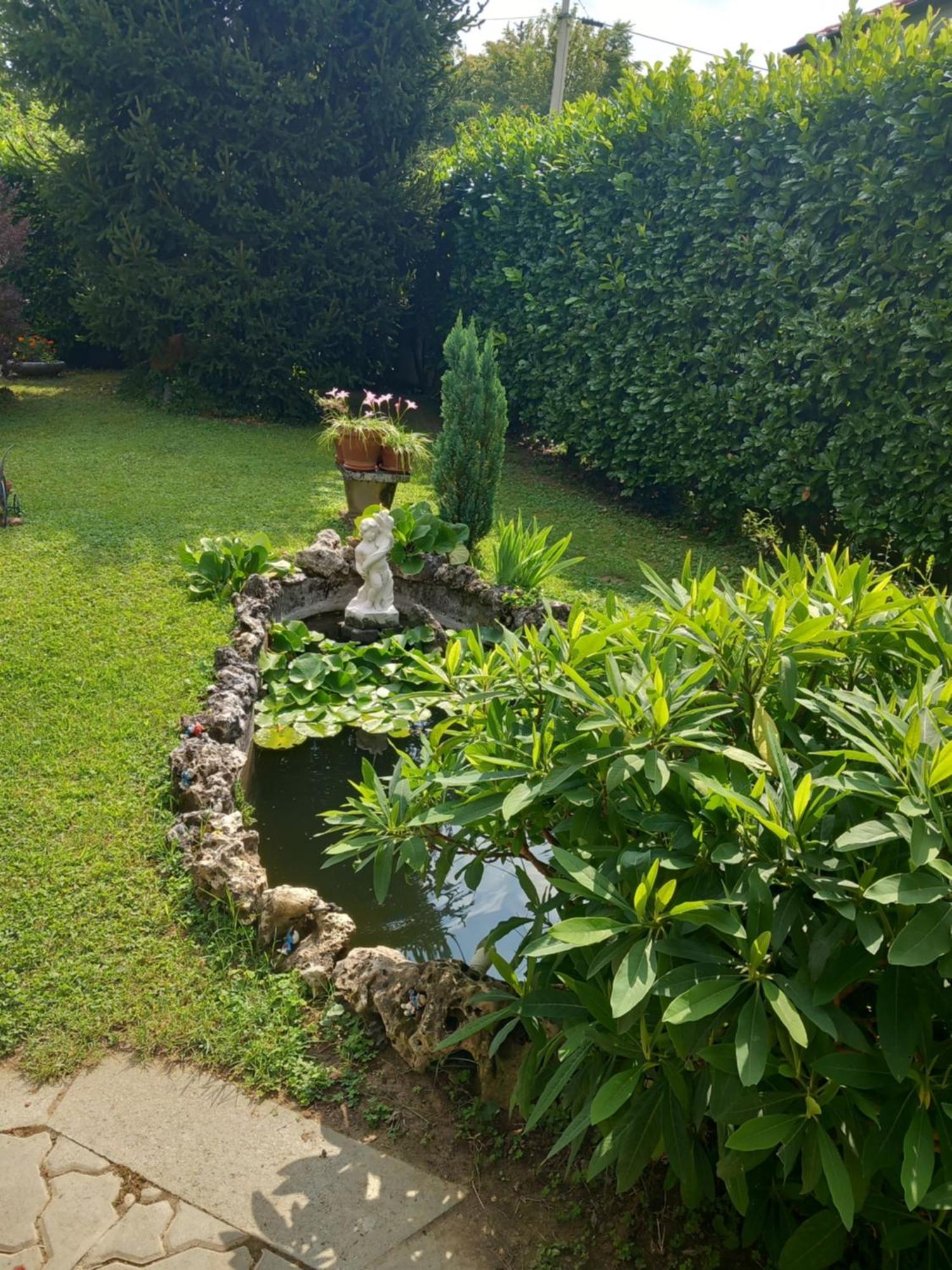 Torre Canavese Il Laghetto Bed & Breakfast エクステリア 写真