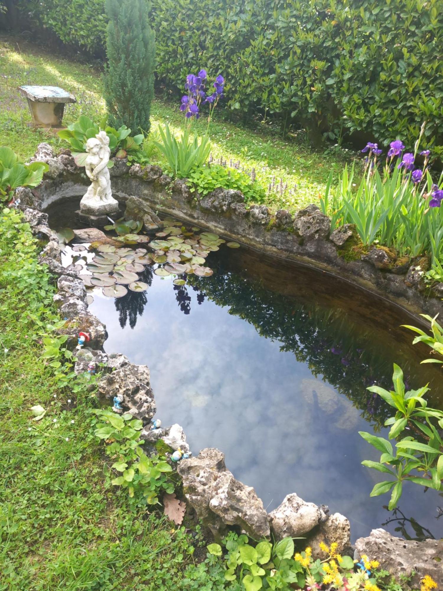 Torre Canavese Il Laghetto Bed & Breakfast エクステリア 写真