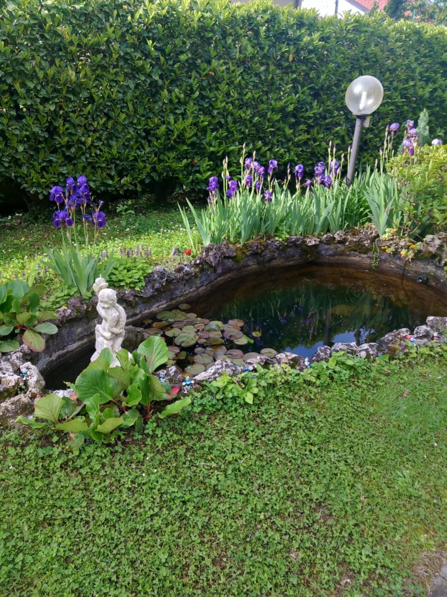 Torre Canavese Il Laghetto Bed & Breakfast エクステリア 写真